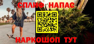 гашик Янаул