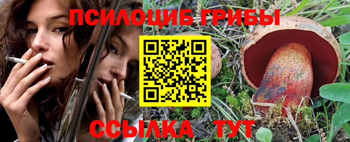 Псилоцибиновые грибы Cubensis  Вход с VPN  Бугуруслан 
